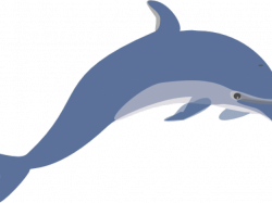 Free Bottlenose Dolphin Clipart, Download Free Clip Art on ...