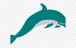 Dolphin Clipart Teal - Dolphin Clip Art - Png Download ...