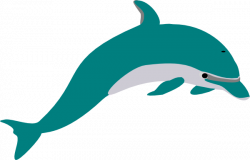 Teal Dolphin Clip Art at Clker.com - vector clip art online ...