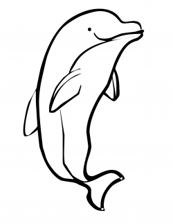 Dolphin Drawings | Free download best Dolphin Drawings on ...