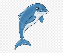 Free Png Download Dolphin Clipart Png Photo Png Images ...