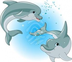 Clipart picture of two happy dolphins pesci – Gclipart.com