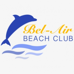 Clipart Dolphin Beach Florida - Illustration - Download ...