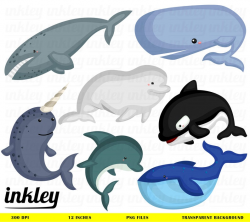 Whale Clipart, Whale Clip Art, Whale Png, Dolphin Clipart, Whale Type  Clipart, Cute Whale Clipart, Cute Animal Clipart, Education, Learn