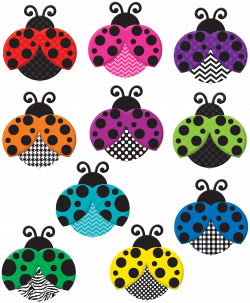 Colorful Ladybugs Accents | Ladybug and Bulletin board
