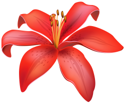 Red Lily Flower PNG Clipart - Best WEB Clipart