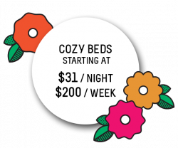 Secret Garden Backpackers | The Best Budget Backpacker Hostel in Sydney