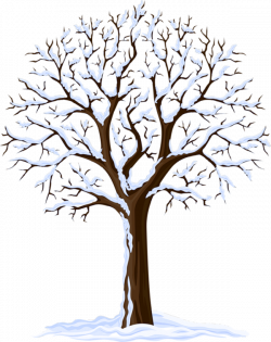 arbre, png, árbol, tree, | bildites | Pinterest | Christmas clipart ...