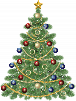 Christmas Tree clipart transparent - Pencil and in color christmas ...