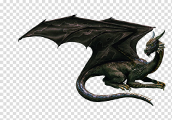 E S Darkness Dragon, black dragon transparent background PNG ...