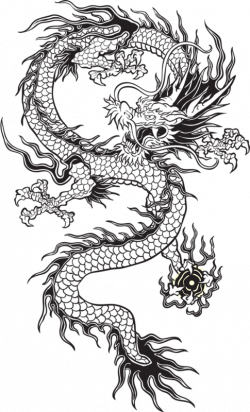 transparent chinese dragon tumblr black and white - Google Search ...