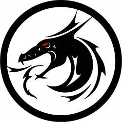 Black Dragons - Strathcona Dragons Roller Hockey Club : Website by ...
