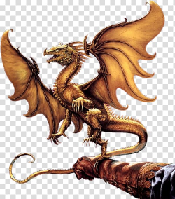 Chinese dragon European dragon , dragon transparent ...