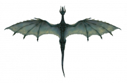 Image - Black Dragon (overhead).png | Dragons | FANDOM powered by Wikia