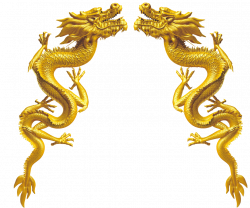 Chinese dragon - Golden Dragon 1030*860 transprent Png Free Download ...