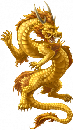 Chinese Dragon Gold transparent PNG - StickPNG