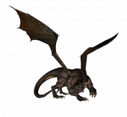 Transparent Background Realistic Dragon Png - Clip Art Library
