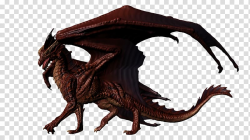 Dragon , Realistic Dragon transparent background PNG clipart ...