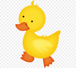 Baby Ducks Baby Duckling Clip art - cartoon duck png download - 536 ...