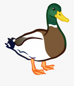 Duck Free On Dumielauxepices - Duck Clipart Png #90975 ...