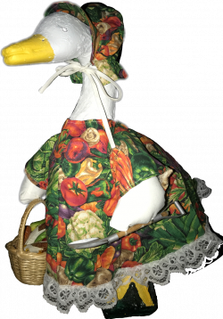 goose duck lawn goose lawn duck costume goose dressed...