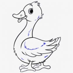 Drawn Duckling - Duck Drawings Png - Download Clipart on ...