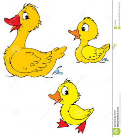 Duck and duckling clipart » Clipart Station