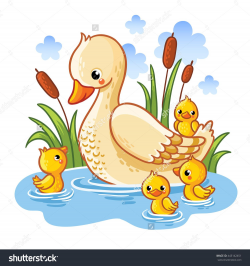 Vector illustration of a duck and ducklings. Mother duck ...