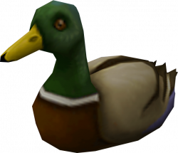 Duck | RuneScape Wiki | FANDOM powered by Wikia