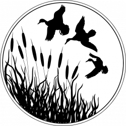 Free Stock Photo: Illusted silhouette of ducks flying*vector ...