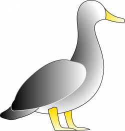 Jonathon S Duck Clip Art at Clker.com - vector clip art online ...