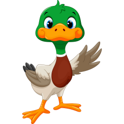 Duck Goose Clip art - Lovely duck 1000*1000 transprent Png Free ...
