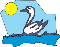 Duck Goose Bird Beak Clip art - Aves 800*621 transprent Png Free ...