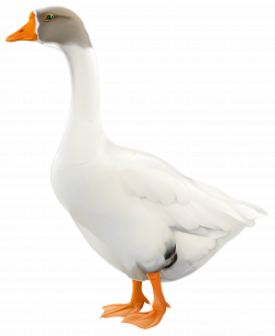 Goose PNG Clip Art Image | Gallery Yopriceville - High-Quality ...