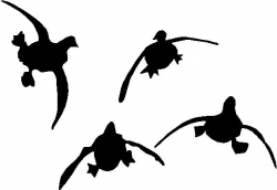 Free Flying Duck Cliparts, Download Free Clip Art, Free Clip ...