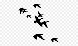 Flying Clipart Svg - Flock Of Ducks Silhouette - Png ...