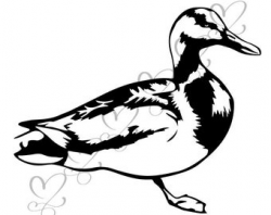 Male duck | Etsy