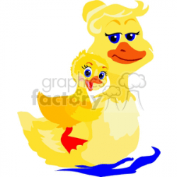 a mom duck with her duckling clipart. Royalty-free clipart # 132177