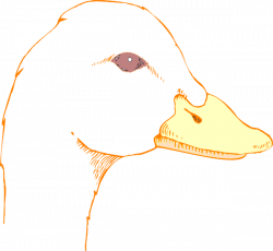 Duck Head Drawing Clip Art at Clker.com - vector clip art online ...