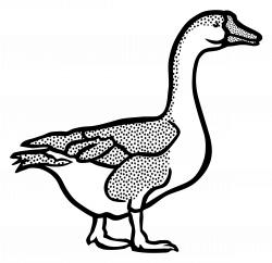 Clipart - goose2 - lineart