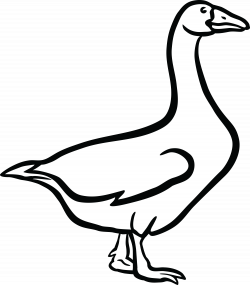 Brown Clipart Goose#3103817