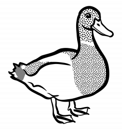 Clipart - duck - lineart