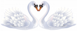 Valentine Swans PNG Clipart | Gallery Yopriceville - High-Quality ...