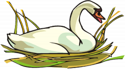 Free Swan Clipart