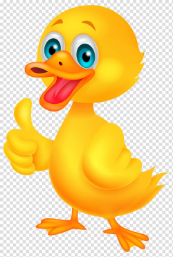 Donald Duck American Pekin Cartoon, duck transparent ...