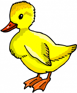 Duck into Toddler Time this Week @ Katherine Tyra and Bear Creek ...