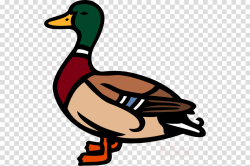 Duck Cartoon clipart - Duck, Bird, Graphics, transparent ...