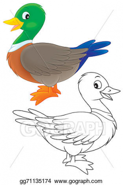 Clipart - Duck. Stock Illustration gg71135174 - GoGraph