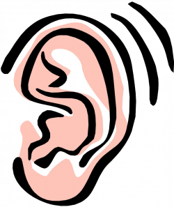 28+ Collection of Ear Sound Clipart | High quality, free cliparts ...