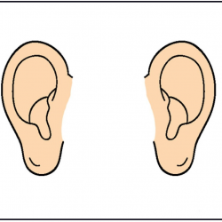 In Cartoon Ears Clip Art Clipart 1 | Clip Art